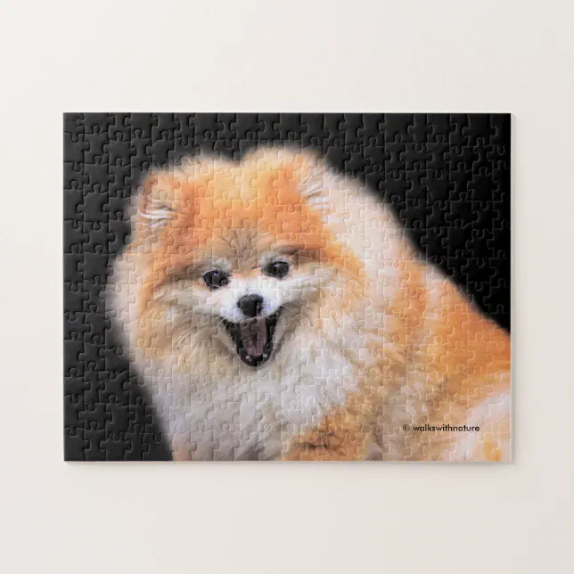 Cute Laughing Pomeranian Dog Jigsaw Puzzle