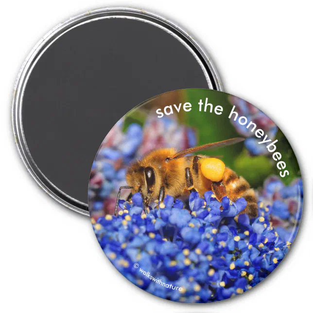Save the Honeybees Pollinating California Lilac Magnet