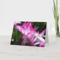 Christmas Cactus Flowers Card