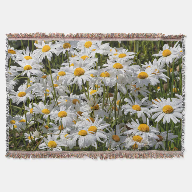 A Field of Oxeye Daisies on a Sunny Summer Day Throw Blanket