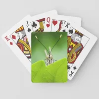 Funny Butterfly Peeks Over Leaf Poker Cards