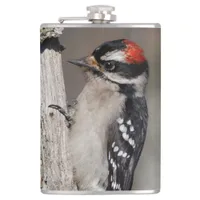 Profile of a Male Downy Woodpecker Flask