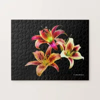 Elegant Trio of Yellow Pink Daylilies Floral Jigsaw Puzzle