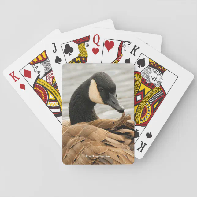 Canada Goose Grooming on the Lake Poker Cards