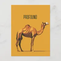 Profound Camel Postcard