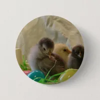 Real Easter Chicks Pinback Button