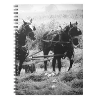 Haying Time in Black and White Notebook