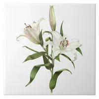 White Lily Asiatic Flowers Botanical Art Ceramic Tile