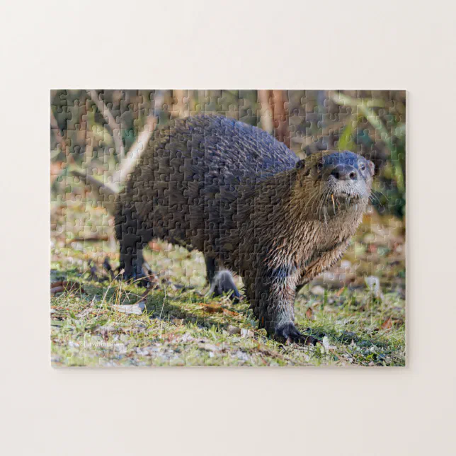 Funny River Otter out of Water Stanley Park Lagoon Jigsaw Puzzle
