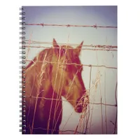 Behind the Fence Abstract Horse Notebook