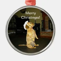 Sitting Pretty Dachshund Christmas Ornament