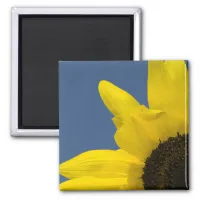 Yellow and Blue Sunflower Corner Magnet