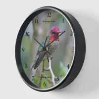 Stunning Male Anna's Hummingbird on the Plum Tree Wall Clock