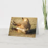 Buckskin Roll, Friends Card