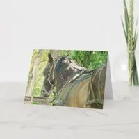 Amish Horse at Hitching Post All Occasions  Card