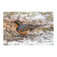 Varied Thrush Songbird on the Snowy Ground Placemat