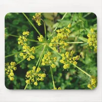 Ant, Web, and Yellow Mustard Flower  Mouse Pad