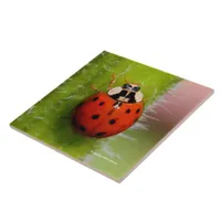 Ladybug on the Sunflower Stalk Ceramic Tile