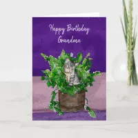 Gray Kitten sitting in a Pot of Catnip Birthday   Card