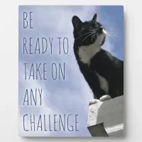 Take on any Challenge motivational cat Plaque