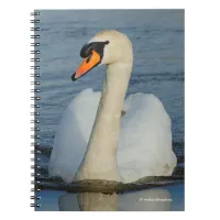 A Mute Swan Approaches Notebook