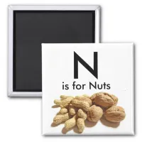Letter N is for Nuts Children's Mangets Magnet