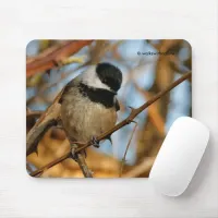 Cute Hopeful Black-Capped Chickadee Songbird Mouse Pad