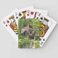 Cute Squirrel Family in Spring Nature Photography Poker Cards