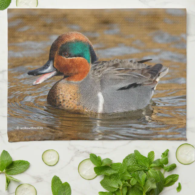 A Chatty Green-Winged Teal Duck at the Pond Towel