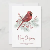 Christmas Winter Cardinal on Snowy Pine  Holiday Card