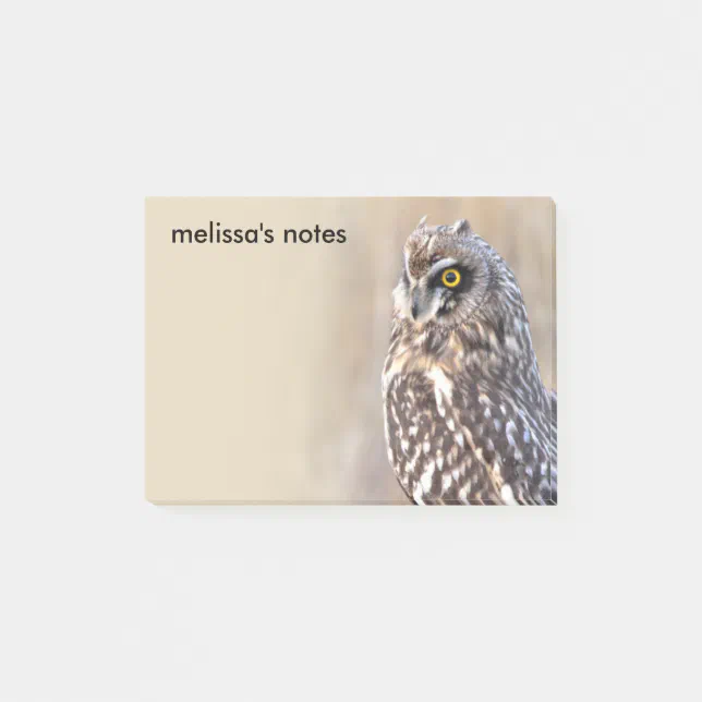 Stunning Short-Eared Owl in the Marshes Post-it Notes
