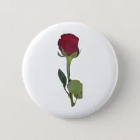 Red Rose Button