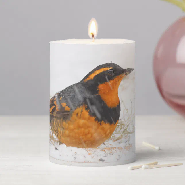 Beautiful Varied Thrush Songbird on a Snowy Day Pillar Candle