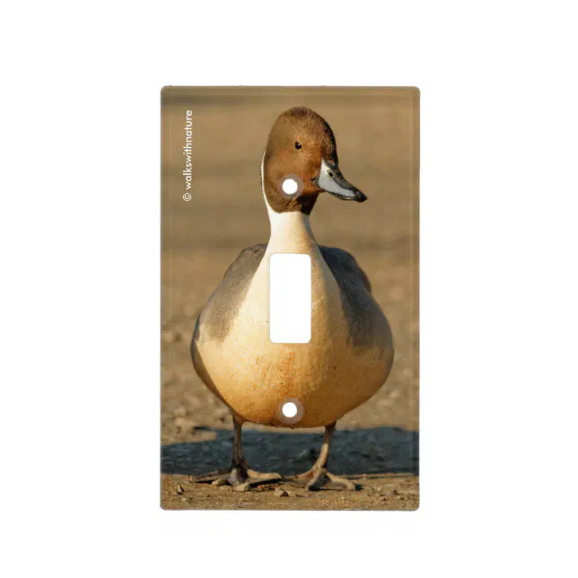 Funny Northern Pintail Duck Gothic Light Switch Cover