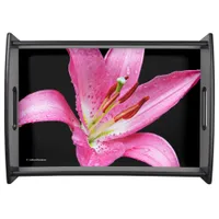 Elegant Pink Oriental Lily Lilium Stargazer Flower Serving Tray