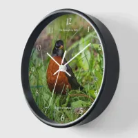 A Curious American Robin Songbird in the Grass Clock