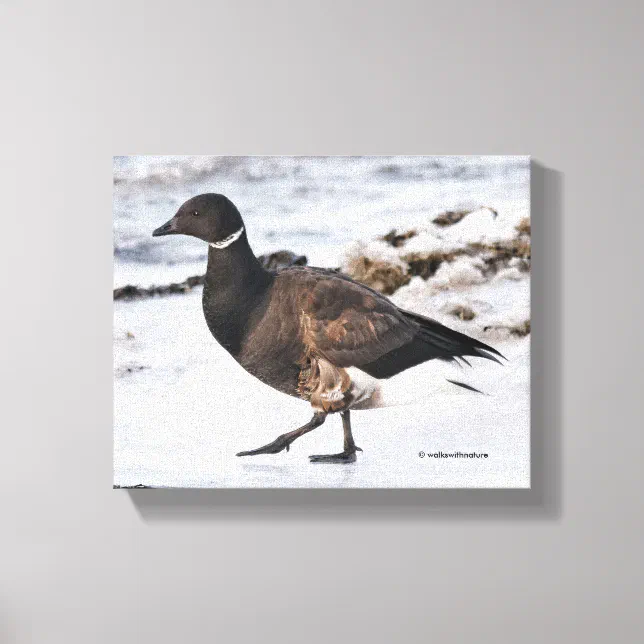 A Goosesteppin' Brant Canvas Print