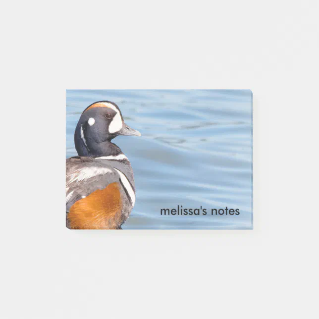 Beautiful Harlequin Duck on the Rock Post-it Notes