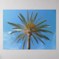 Tropical Palm Tree and Blue Sky Poster