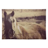 Pinto Pony Placemat