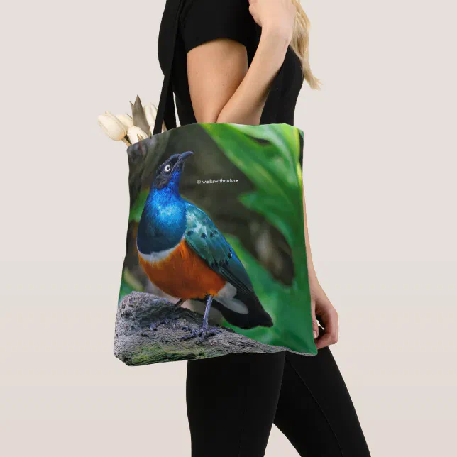 A Stunning African Superb Starling Songbird Tote Bag