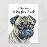 I Miss You so Dog-Gone Much Postcard