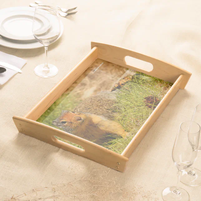 A Twitchy-Nosed Columbian Ground Squirrel Serving Tray