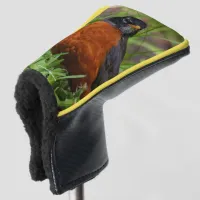 A Curious American Robin in the Grass Golf Head Cover