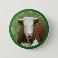 Cow in the Grass Pin-Back Button