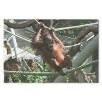 Baby Orangutan - Hang in there Tissue Paper