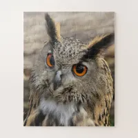 Cute eagle owl jigsaw puzzle