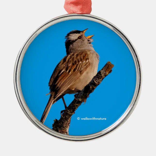 A White-Crowned Sparrow Sings to the Sun Metal Ornament