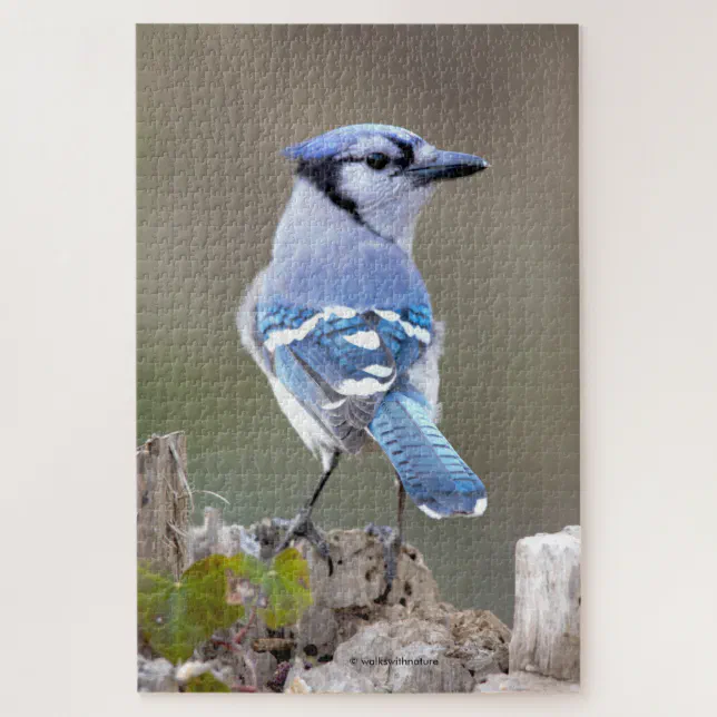 Cute Blue Jay Songbird on Treestump Jigsaw Puzzle