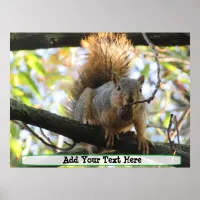 Personalized Cute Squirrel Humor Poster